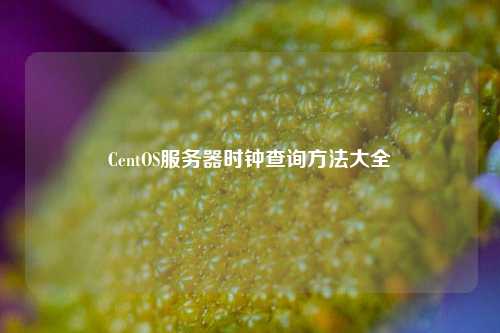 CentOS服務(wù)器時鐘查詢方法大全