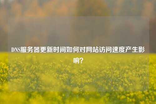 DNS服務(wù)器更新時(shí)間如何對(duì)網(wǎng)站訪問速度產(chǎn)生影響？