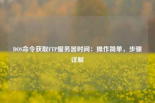 DOS命令獲取FTP服務(wù)器時(shí)間：操作簡單，步驟詳解