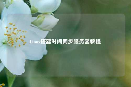 Linux搭建時間同步服務(wù)器教程