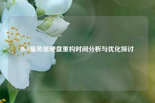 Dell服務器硬盤重構時間分析與優化探討