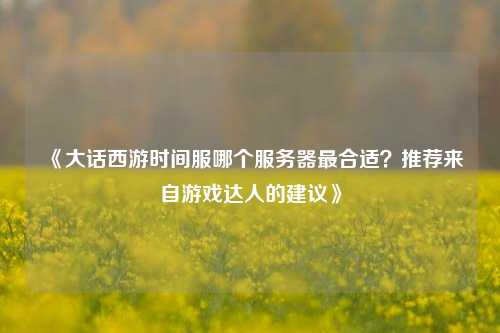 《大話西游時(shí)間服哪個(gè)服務(wù)器最合適？推薦來自游戲達(dá)人的建議》