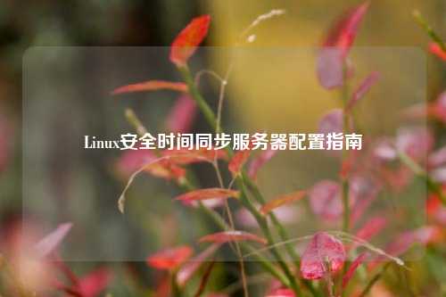 Linux安全時(shí)間同步服務(wù)器配置指南