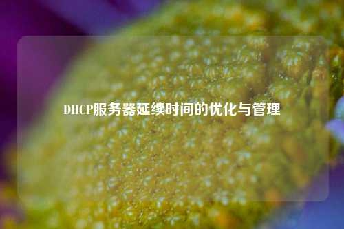 DHCP服務(wù)器延續(xù)時(shí)間的優(yōu)化與管理