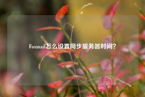 Foxmail怎么設置同步服務器時間？