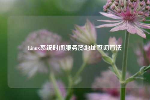 Linux系統(tǒng)時(shí)間服務(wù)器地址查詢方法