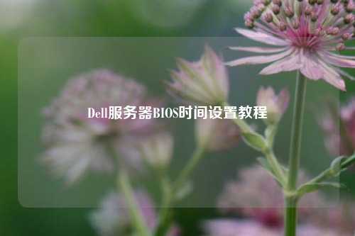 Dell服務器BIOS時間設置教程