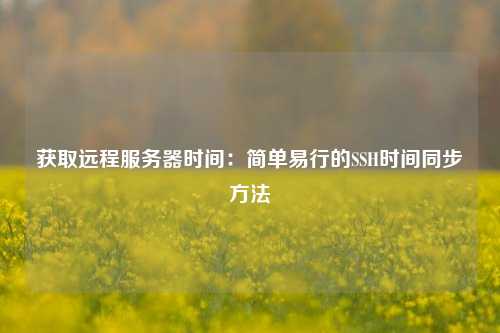 獲取遠(yuǎn)程服務(wù)器時(shí)間：簡(jiǎn)單易行的SSH時(shí)間同步方法