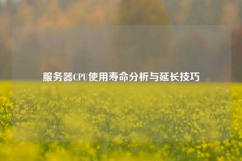 服務(wù)器CPU使用壽命分析與延長(zhǎng)技巧