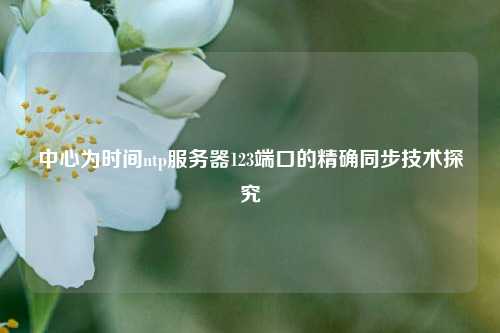 中心為時間ntp服務器123端口的精確同步技術探究