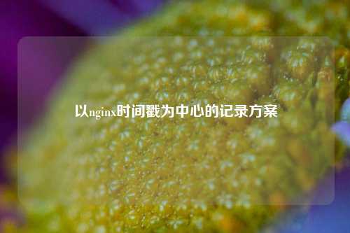 以nginx時間戳為中心的記錄方案