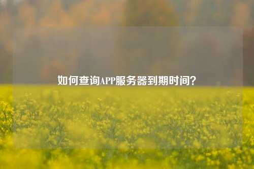 如何查詢APP服務器到期時間？