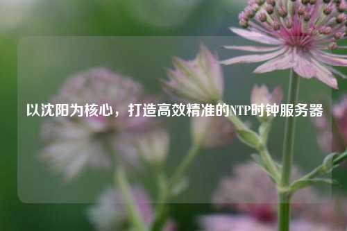 以沈陽為核心，打造高效精準(zhǔn)的NTP時鐘服務(wù)器