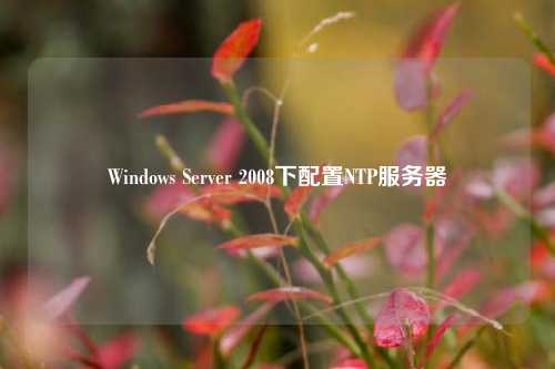 Windows Server 2008下配置NTP服務器