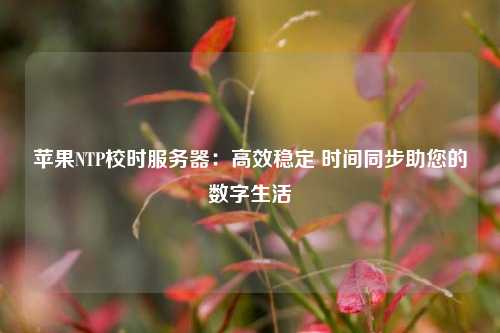 蘋果NTP校時服務器：高效穩(wěn)定 時間同步助您的數(shù)字生活