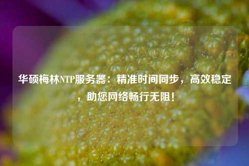 華碩梅林NTP服務器：精準時間同步，高效穩定，助您網絡暢行無阻！