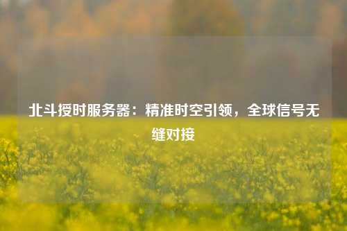 北斗授時服務器：精準時空引領，全球信號無縫對接