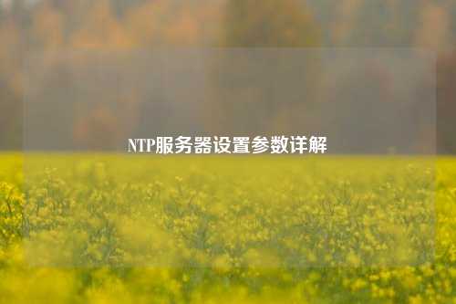 NTP服務器設置參數詳解