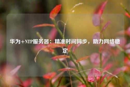 華為+NTP服務(wù)器：精準(zhǔn)時(shí)間同步，助力網(wǎng)絡(luò)穩(wěn)定