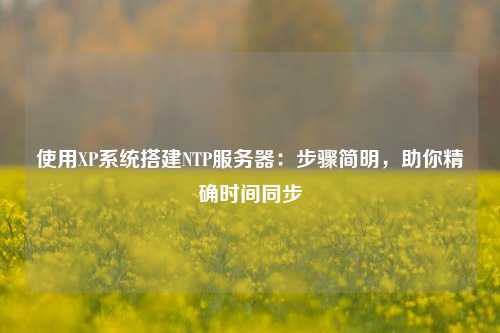 使用XP系統搭建NTP服務器：步驟簡明，助你精確時間同步