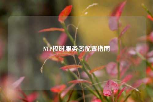 NTP校時服務器配置指南