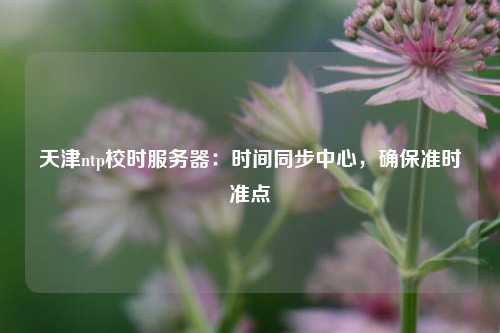 天津ntp校時服務(wù)器：時間同步中心，確保準(zhǔn)時準(zhǔn)點